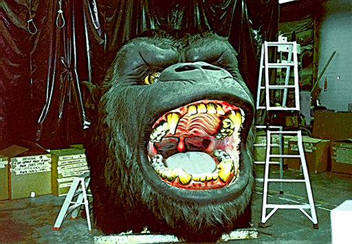 sci%2c%20kong%20head1.jpg